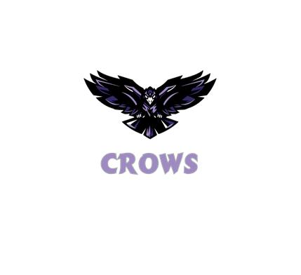 [CUS-STK-VC-3IN-LOGO3] Team Stickers (3in, Logo 3)
